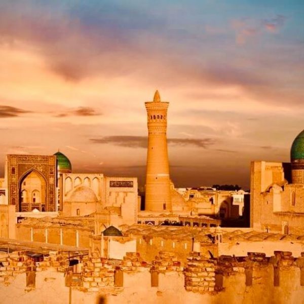 تور ابریشم