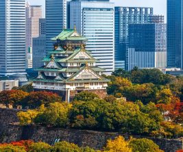 تور ژاپن با کشتی کروز